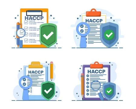HACCP certification illustration set featuring a food safety icon Stock Illustration