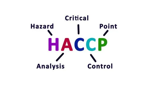 HACCP Hazard analysis critical control points icon Stock Illustration