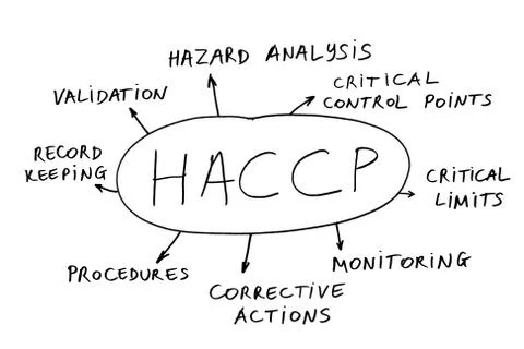 HACCP Illustrazione stock