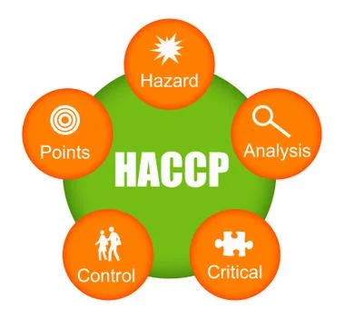 Haccp Stock Illustration
