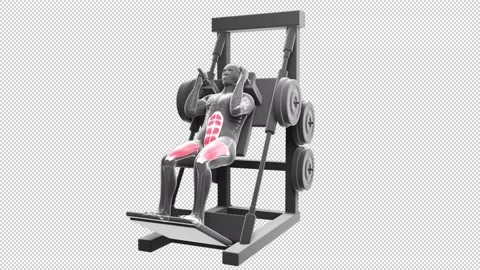 Hack Squat Stock-Footage 155677894