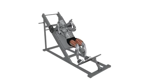 Hack Squat Machine Squat fitness exercise workout animation video male muscl Video stock 258821575