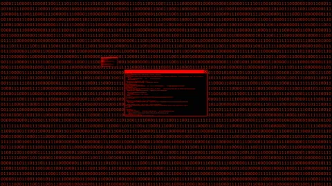 Hacked computer code animation Stock Footage 106132012