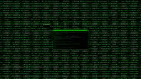 Hacked computer code animation Stock Footage 106132018