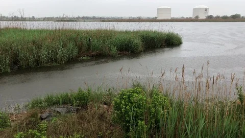 Hackensack river and Mill Creek  Stock Footage 90133424