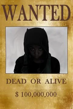 Hacker boy 스톡 일러스트