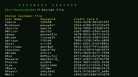 Hacker Decrypting Stolen Passwords and Credit Card Numbers Stock Footage 144800149
