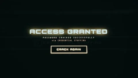 Hacker-style interface with Access Granted success message Stock Footage 335882350