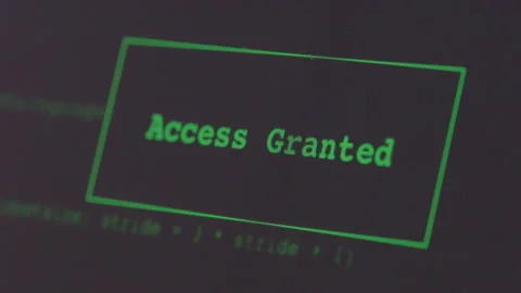 Hacker type displays "Access Granted" Video stock 139347834