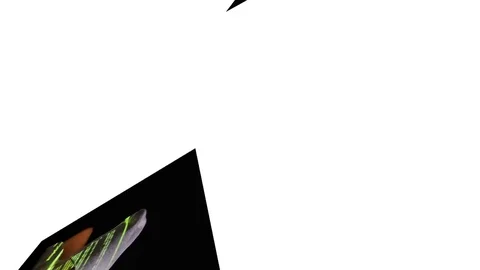 Hackers coding at night. Stock Footage 76357179