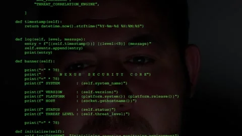 Hacker's Gaze: Analyzing Python Security Monitor Code Stockbeeldmateriaal 342554101