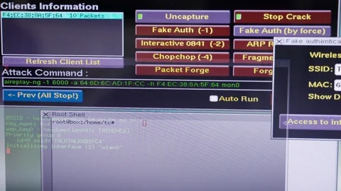 Hacking attack in progress complex hackers computer screen Cybercrime scene shot Video stock 126099243