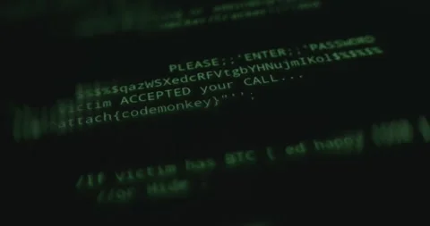 Hacking attempt with successful connection with a target system Stock Footage 314457137