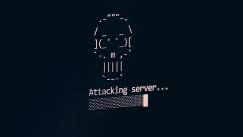 Hacking a Computer Server Skull Warning Stock Footage 146104510