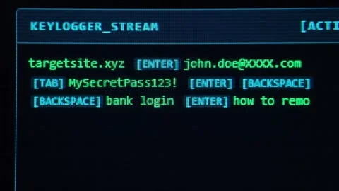 Hacking Concept - Keyloggler Simulation. Stock Footage 342724209