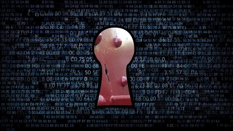 Hacking data. Hacking and stealing information Stock-Footage 80566482