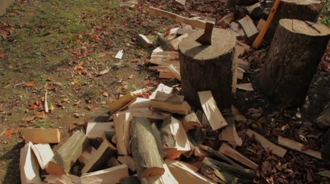 Hacking firewood in nature Stock Footage 7727799