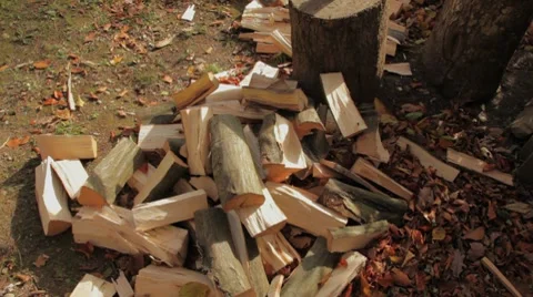 Hacking firewood in nature Stock Footage 7727804