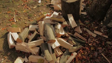 Hacking firewood in nature Stock Footage 7727805