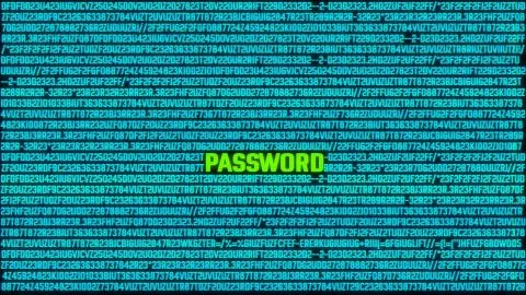 Hacking Password Concept Illustrazione stock