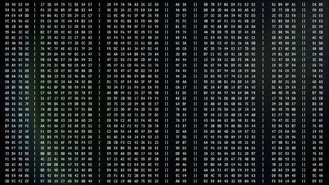 Hacking in progress, numbers changing on... | Stock Video