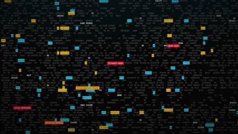 Hacking screen with scrolling hexadecimal code and security alerts flashing Stock-Footage 347350114