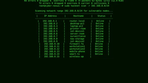 Hacking a system animated video. Cybersecurity issues detection. Vidéo 246620909