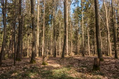Hackisan-Bilder-2018-704 Stock Photos