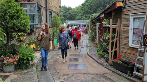 Hackney City Farm. Stock Footage 156488486