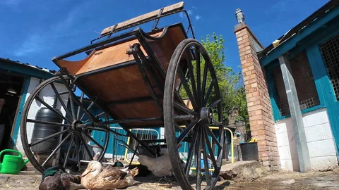 Hackney City Farm. Stock Footage 274548387