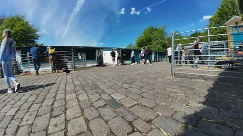 Hackney City Farm. Stock Footage 274551339