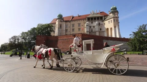Hackney coach in front of Wawel royal castle. 0935 Stock Footage 143077478