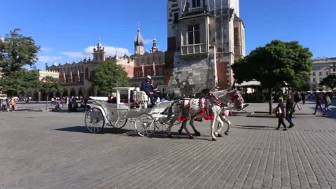 Hackney coach on the Old Market Square. 2028 Stock Footage 143313255