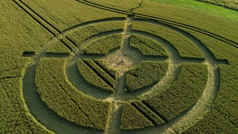 Hackpen hill strange crop circle pattern in rural grass farming meadow Vídeo Stock 161794974