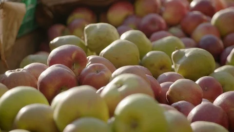 Had takes apple Video stock 101645564