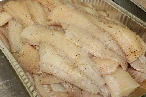 Haddock Fillets prepared for frying Stock Photos