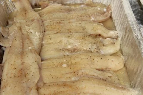 Haddock Filliets Prepared Stock Photos