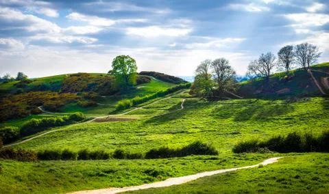 Hadleigh Park Photos
