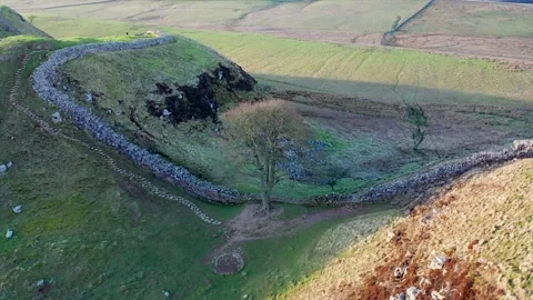 Hadrian’s Wall - Sycamore Gap - Winter POV 库存影片 132060116