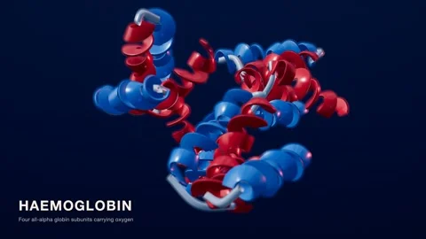 Haemoglobin protein structure red blue medical technology loop Video stock 343737876