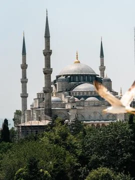 Hagia Sofia and Blue Mosque in Istanbul, Turkey in the morning Stock Photos