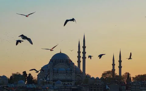 Hagia Sofia - Beautiful sunset with flying seagulls in Istanbul (Turkey) Stock Photos