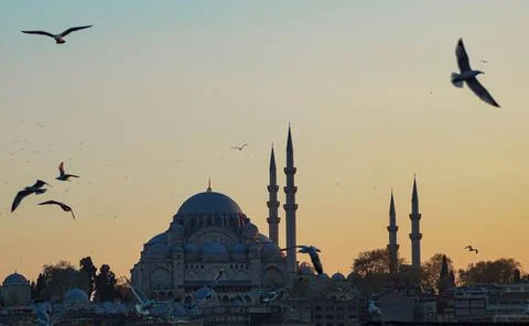 Hagia Sofia - Beautiful sunset with flying seagulls in Istanbul (Turkey) Stock Photos