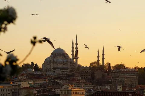 Hagia Sofia - Beautiful sunset with flying seagulls in Istanbul (Turkey) Stock Photos