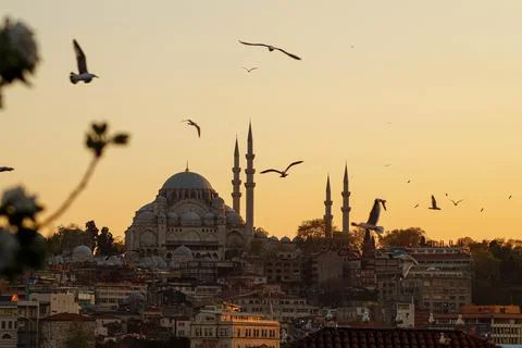 Hagia Sofia - Beautiful sunset with flying seagulls in Istanbul (Turkey) Stock Photos