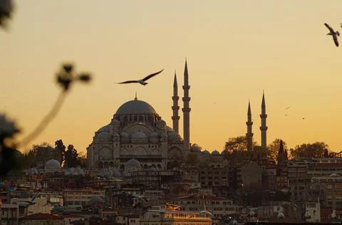 Hagia Sofia - Beautiful sunset with flying seagulls in Istanbul (Turkey) Stock Photos