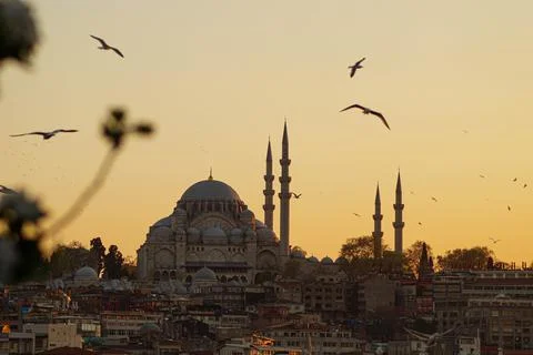 Hagia Sofia - Beautiful sunset with flying seagulls in Istanbul (Turkey) Stock Photos