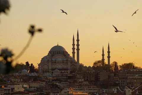 Hagia Sofia - Beautiful sunset with flying seagulls in Istanbul (Turkey) Stock Photos