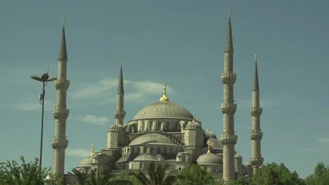 Hagia Sofia Facade, Istanbul, Turkey Video stock 328112109