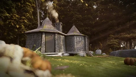 Hagrid Hut in the forrest Stock Footage 220449471